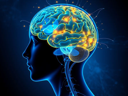 Guide for Parents | Program for Pornography Addiction Recovery | Workbook Therapy