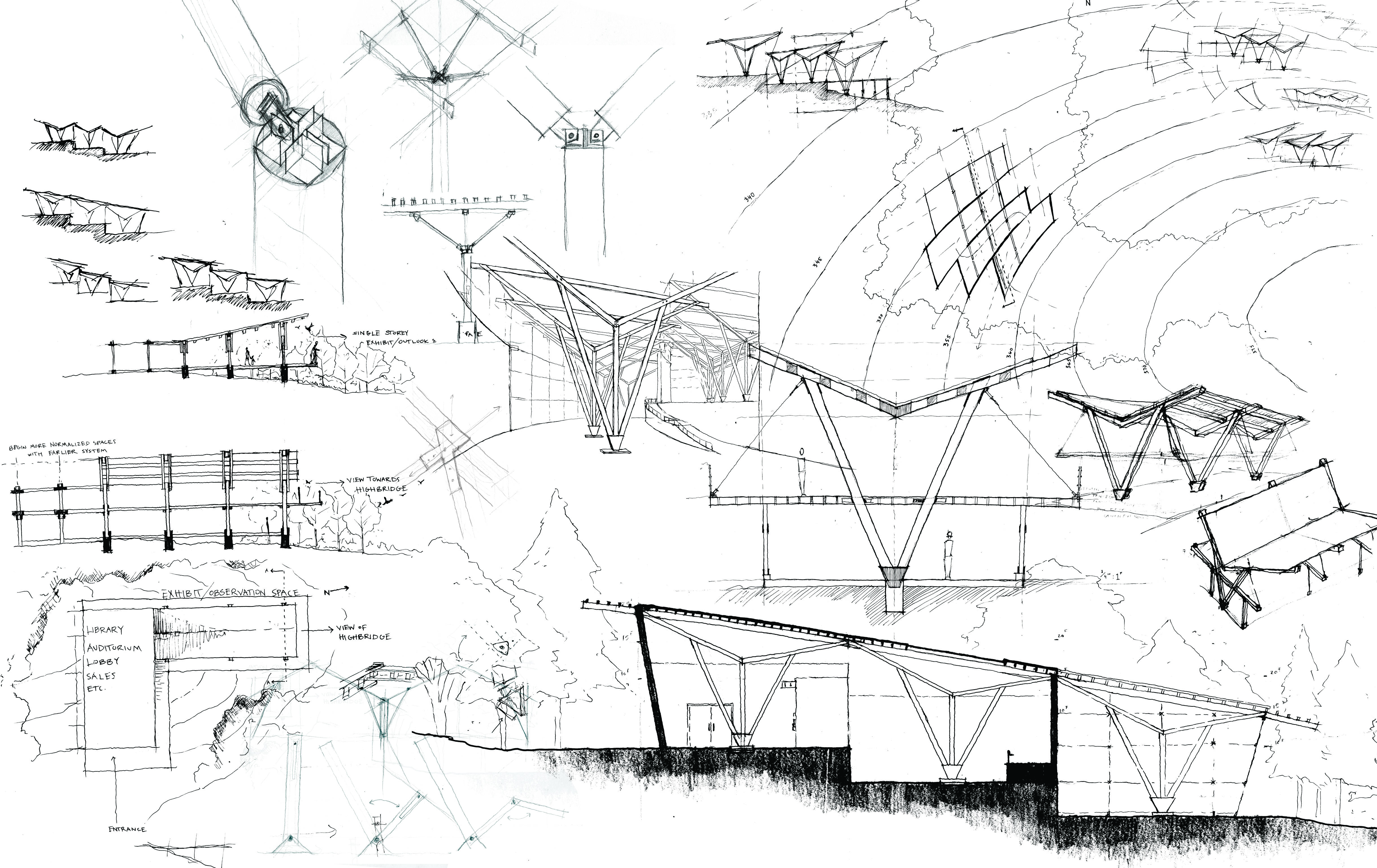 study sketches