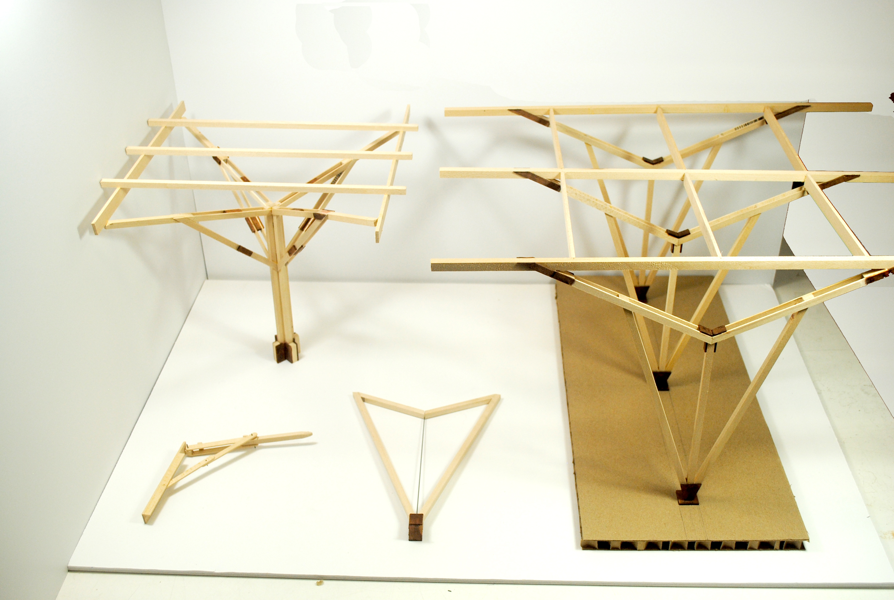 final structural study models