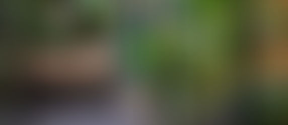 HKliving chapter 3 online nu