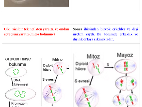İNSANIN YARATILIŞI