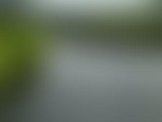 İMAN BİLGİ ÜZERİNE KURULUR.