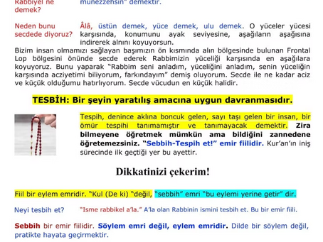 RABBİNİN İSMİNİ TESBİH ET EMRİNİ BİZ NASIL ANLADIK?