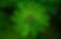 2021-08-24 (2).png