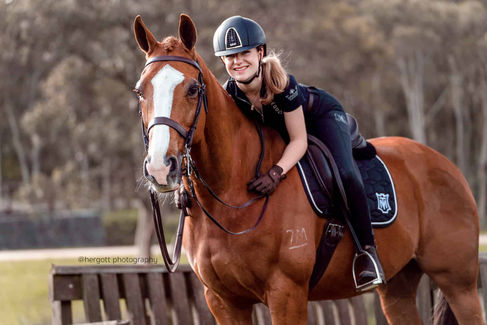 private equine photoshoot Show horse thoroughbred Sydney