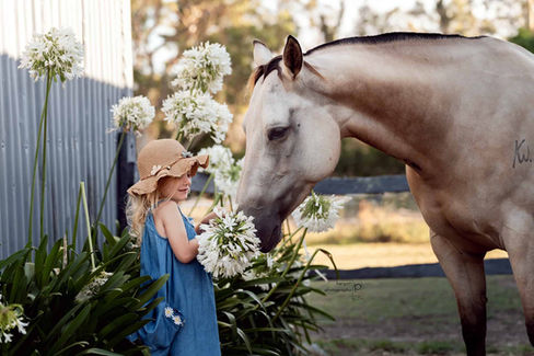 little girl and her palomino horse in between flowers captured by a horse photographer based in sydney