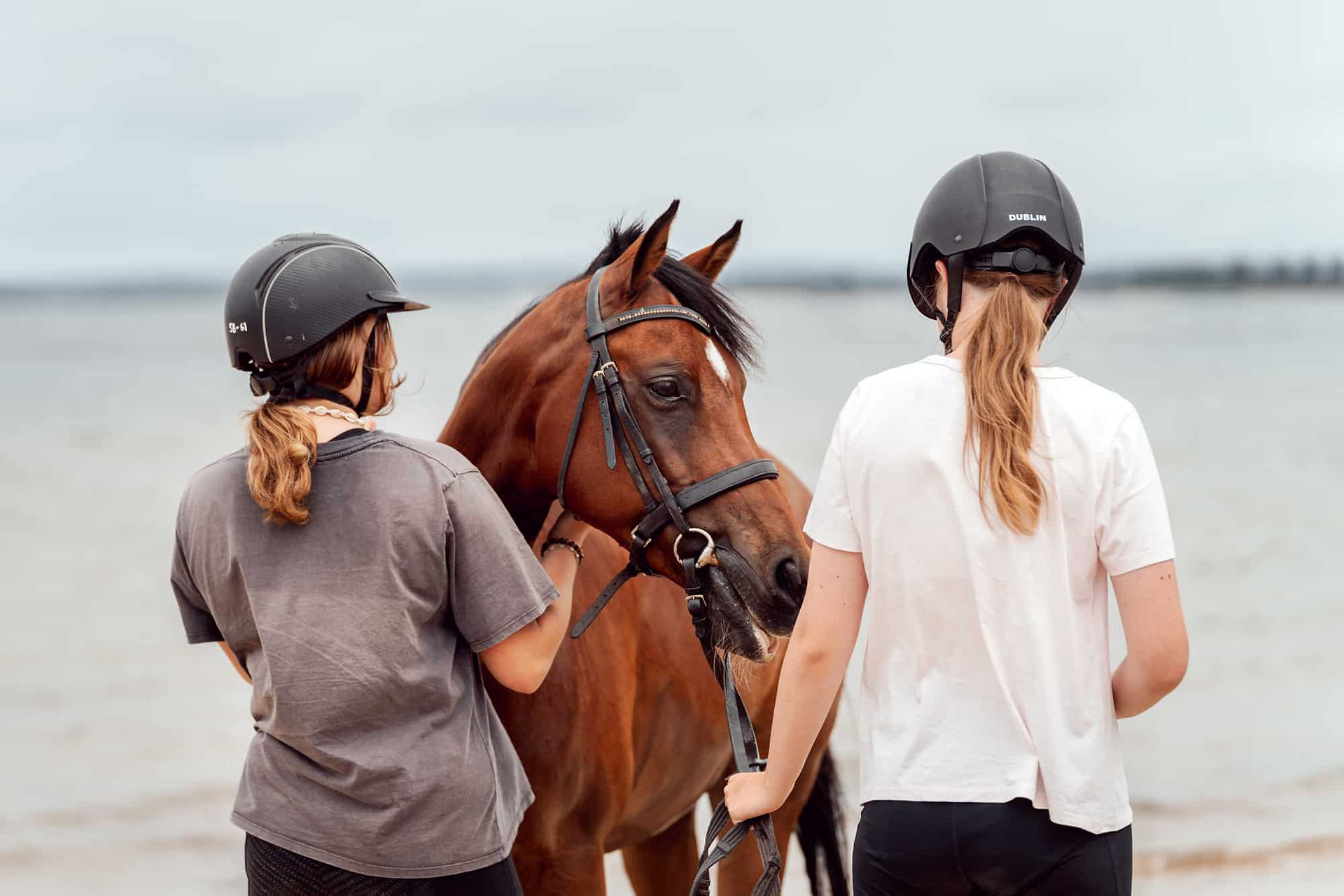 Beach Photoshoot in Sydney with your horse Hergott Photography