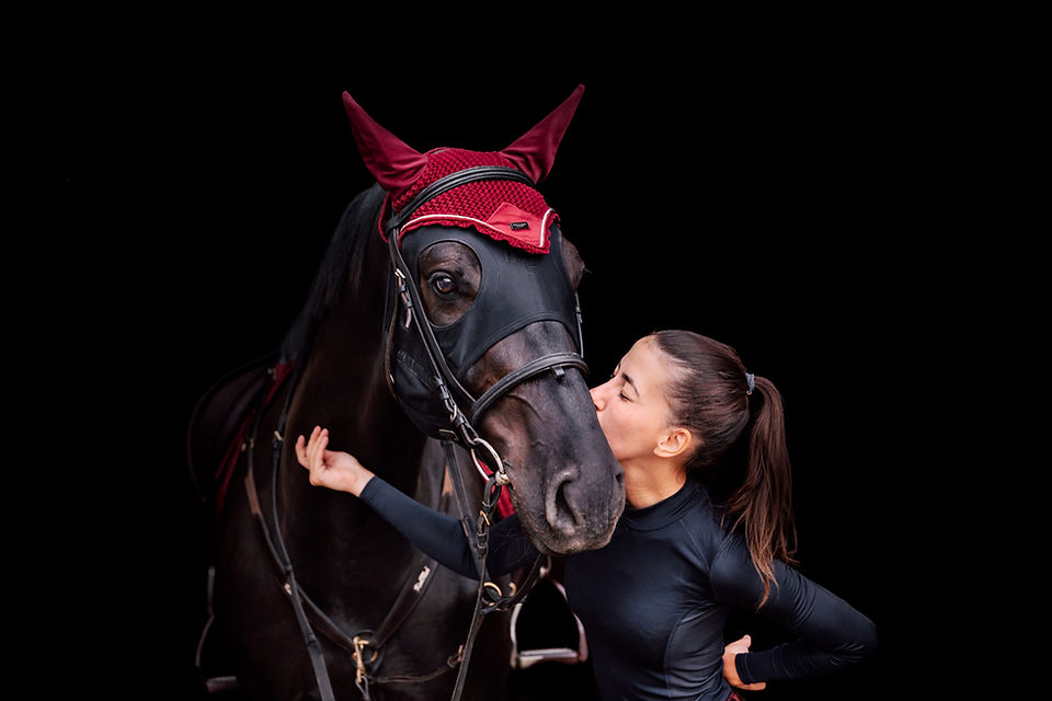 Horse black background session Centennial Park