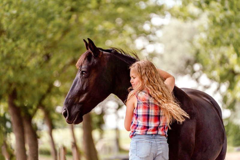Equine mini sessions in the Terry Hills, Arcadia, Kenthurst, Glenorie