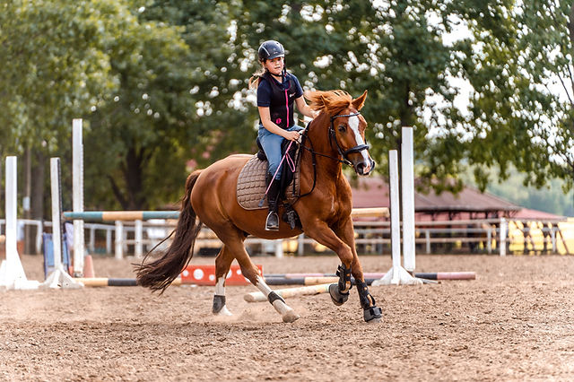 Horse riding Northern beaches photographer