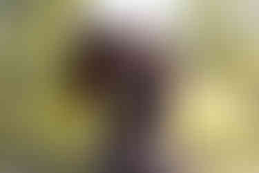 happy lady and beautiful pinto horse photographer Terry Hills