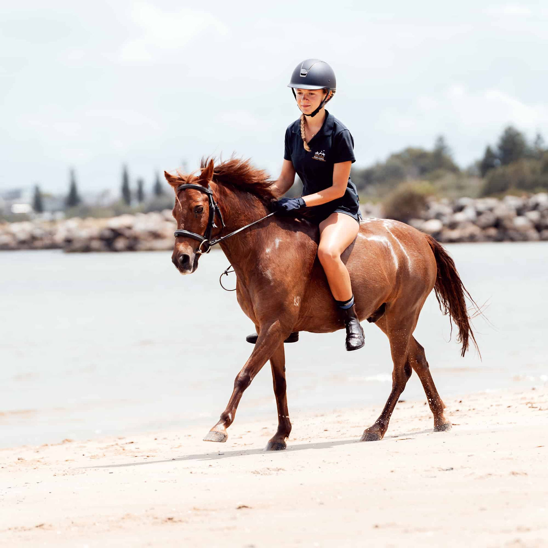Cantering on a Sydney beach with a horse Hergott Photography