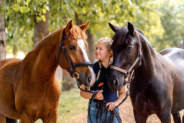 Two horses and a girl Kenthurst photographer