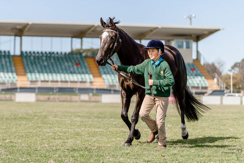 hawkesbury all breeds foal show boy and horse