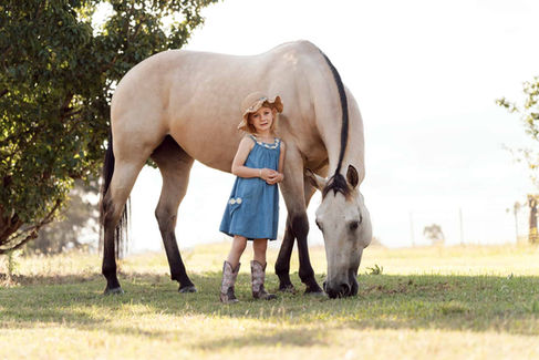 girl leans on her palomino horse Camden photography