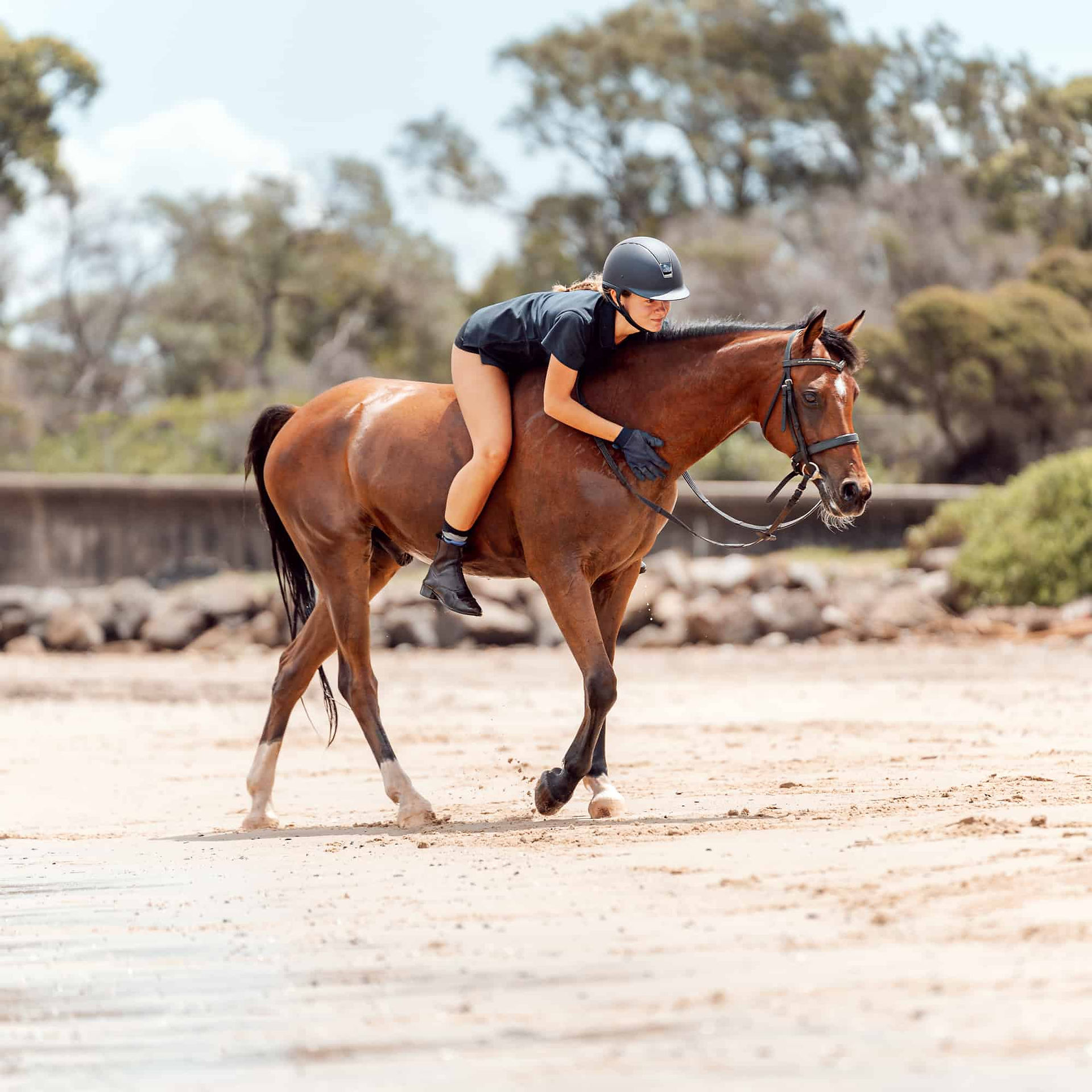 Sydney Horse Beach photoshoot
