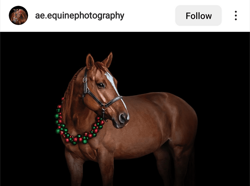 horse wreath for photoshoot