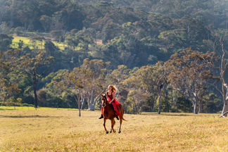Glenworth Valley equine photography