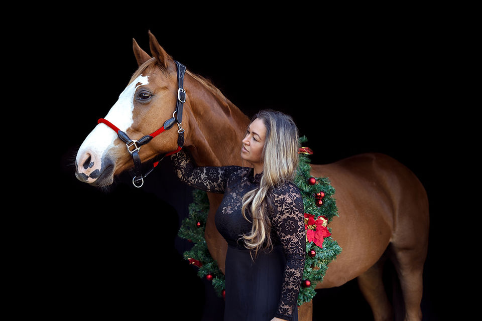 christmas photoshoot with your horse in sydney