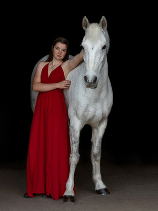 black background horse photography terry hills