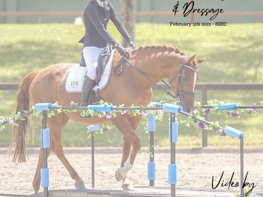 Camden Working Equitation & Dressage Comp | at Sydney International Equestrian Centre