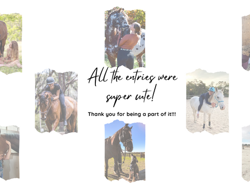 "My horse is the sweetest" | Hergott Photography Photo Contest | 2022