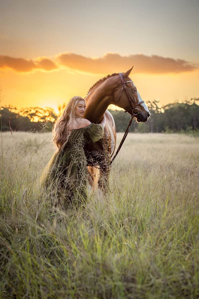 horse photoshoot during sunset in a beautiful grassy field