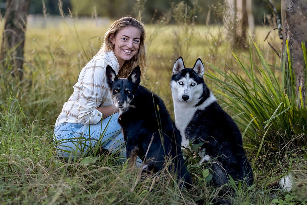 pet photoshoot Mosman