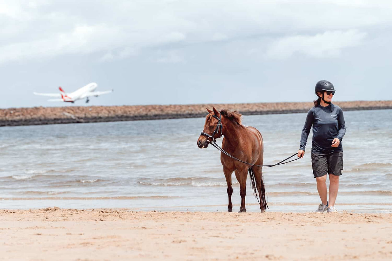 Pony on the beach in Sydney photoshoot
