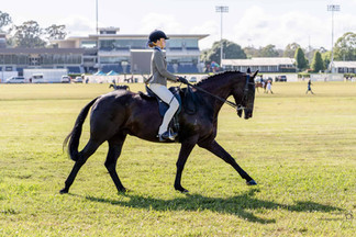 Horse Show Hacking Sydney NSW Photographer 