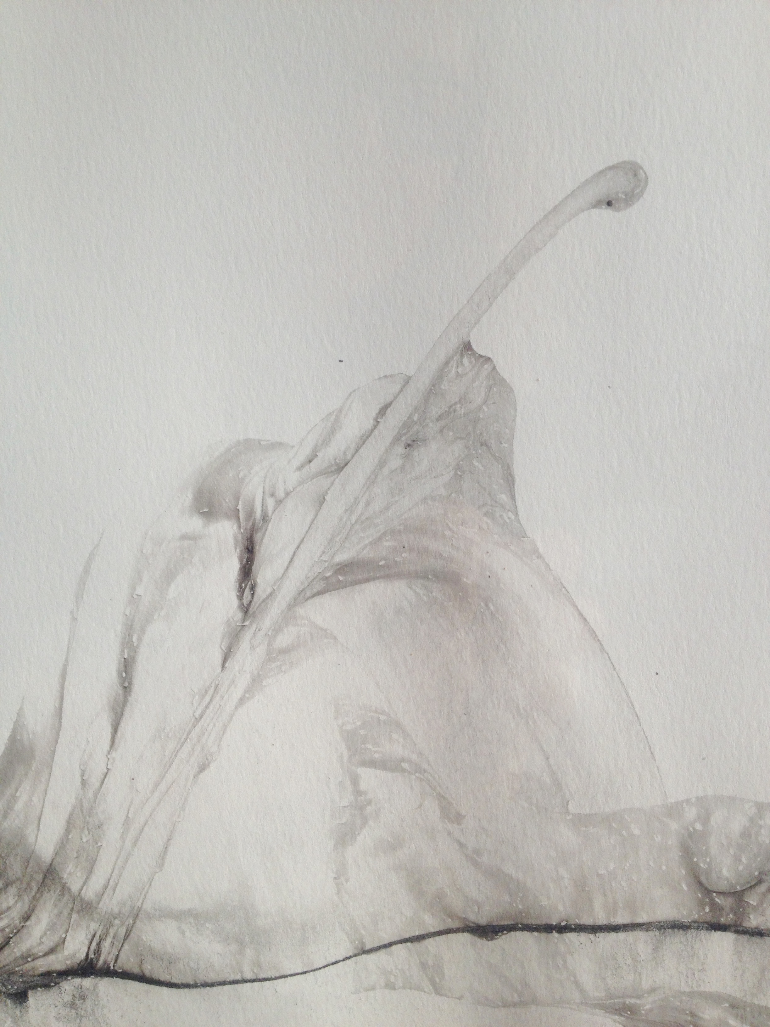 small River Dart wave - detail