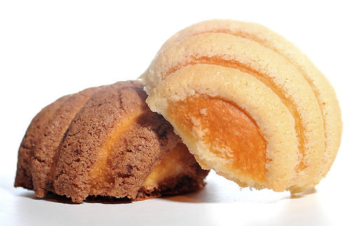 Conchas close ups 2.jpg