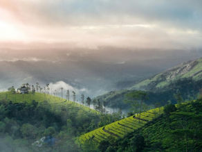10 Must-Visit Hill Stations in Kerala