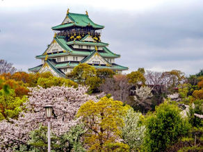 Best Cherry Blossom Spots in Japan You Should Visit