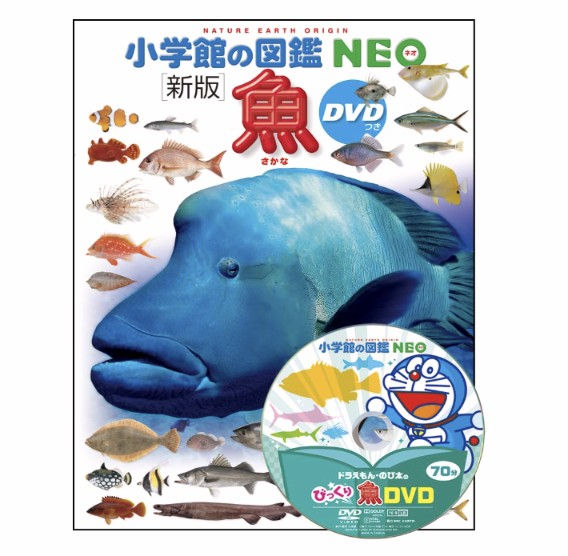 DVD付 新版 魚 (小学館の図鑑 NEO)
