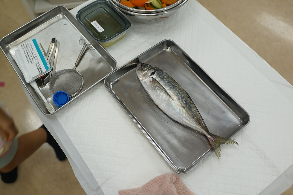 初めての魚育で準備するもの(家庭でできる安心セット)
