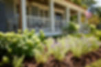 front-landscape-plantings-wheaton.jpg.jp