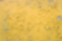 shutterstock_1405536653-01.jpg