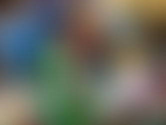 Painted Rock Project