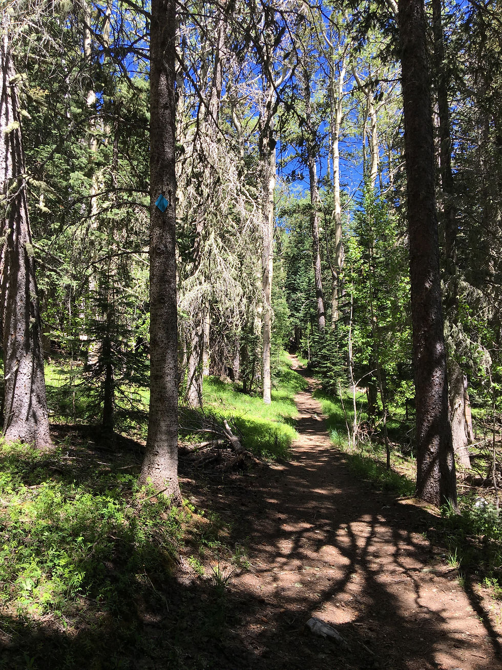TREES