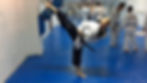 Side kick.jpg