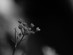 Eating with Your Cycle: Nutrition for Each Menstrual Cycle Phase