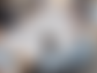 Expert Consultations for Architectural Design in Mid North Coast NSW