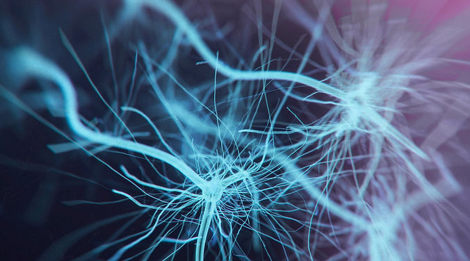 neuron-system-picture-id937894966.jpg