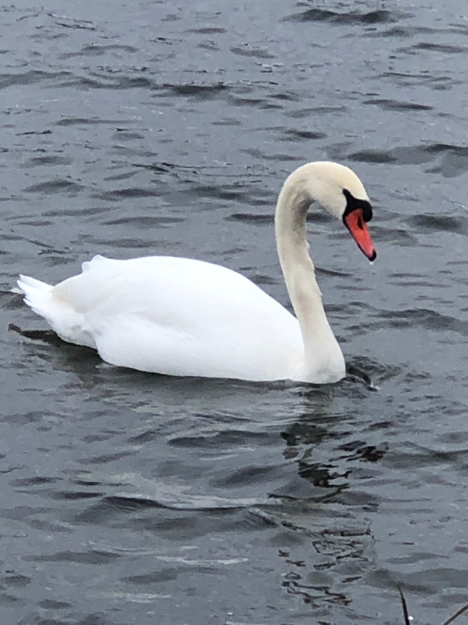 MEDITATION AND ORIENTATION FOR LOVE NEVER DIES WEEKEND