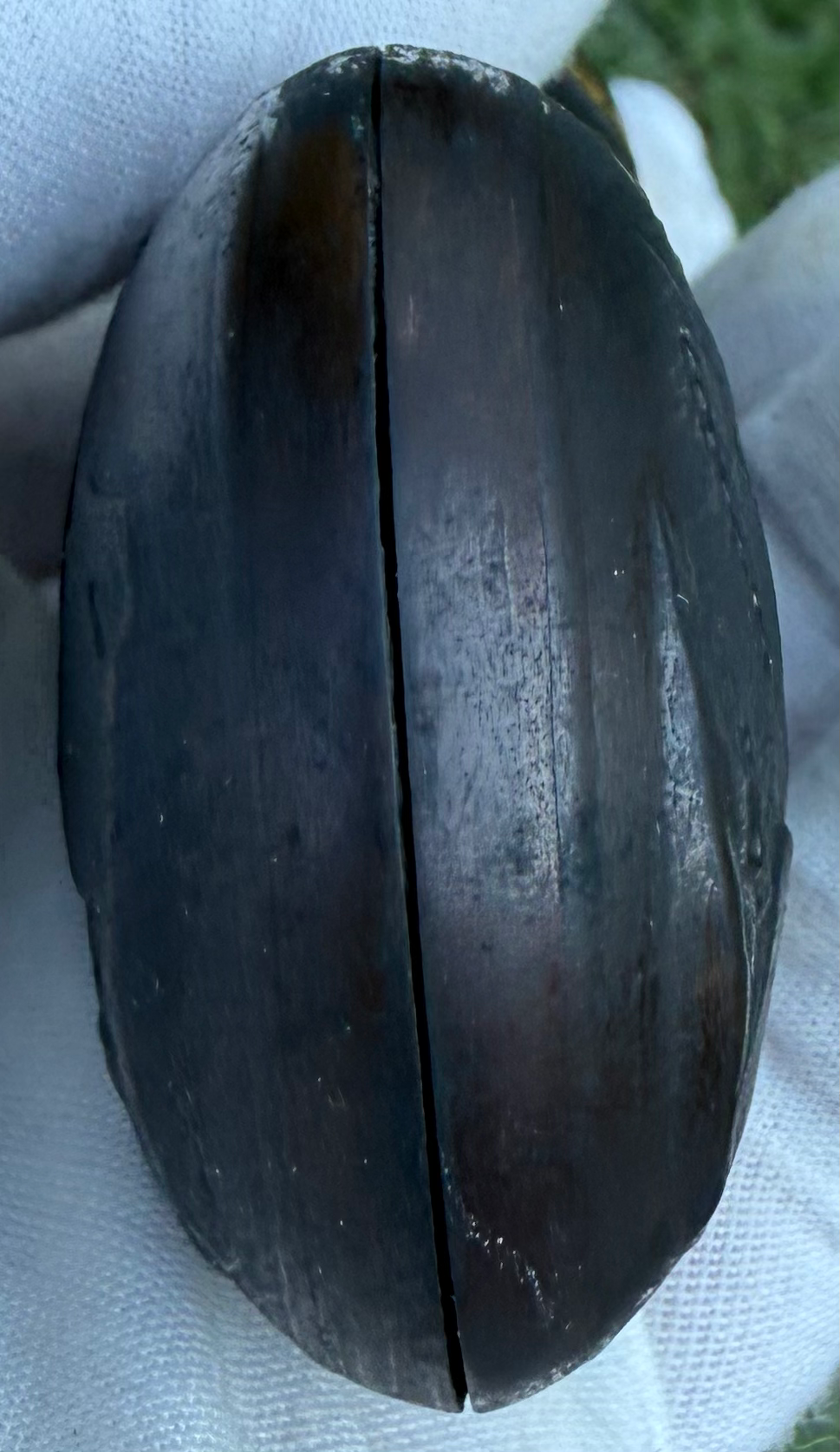 Thumbnail: Civil War Colt Model 1849 Pocket Percussion Powder Flask Eagle and Shield