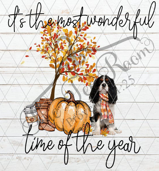 Thumbnail: Fall Dog