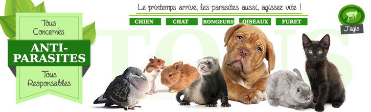 ban_cat_anti-parasites.jpg