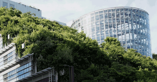 WCS2019 Leadership Spotlight: Capgemini Invent