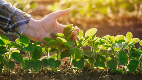 The Business Value of Biodiversity 